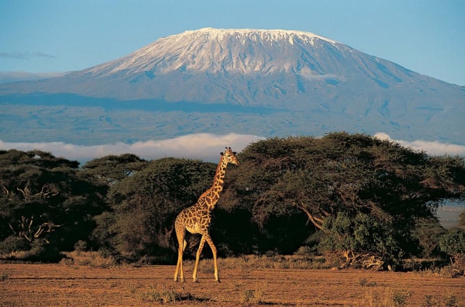 Le kilimanjaro