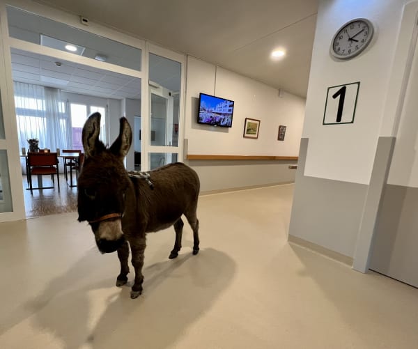 Gaspard en visite dans un centre de soins