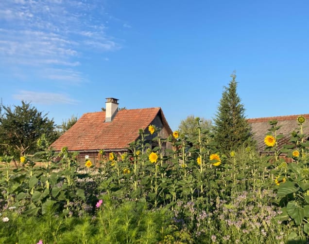 Feldrand mit unserem Hoflädeli im Hintergrund