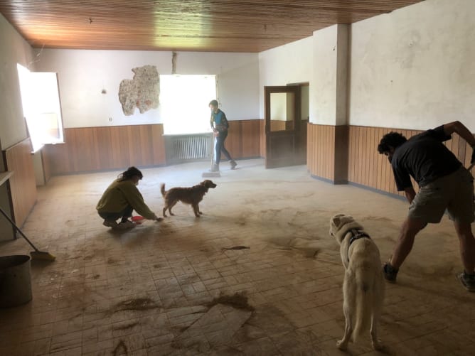 Großputz im Speisesaal