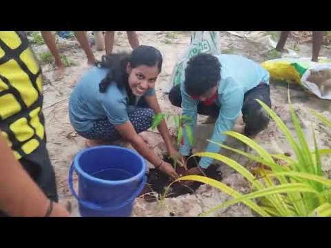 Neem Trees will protect the nice spot at Bengeri Beach in South India