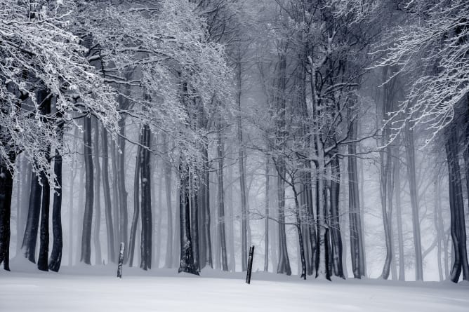 Pour récolter mes données, je resterai de longues heures dans le froid, il me faudra donc un bon équipement!