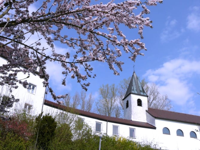 Baumpatenschaft am Bergfried