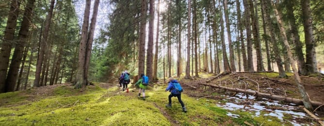 Unser Lernort der Wald in Passugg