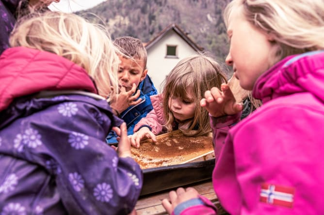 Lernen auf dem Bio Hof Hilarien in Chur 