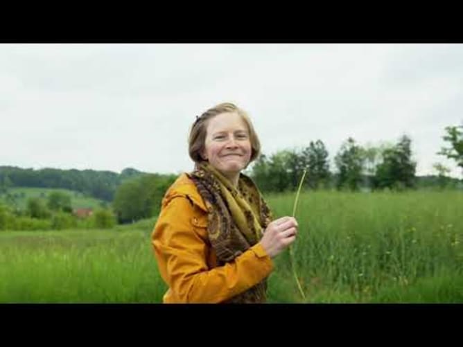 Reisemobil für Farbenleben - Video zum Crowdfunding