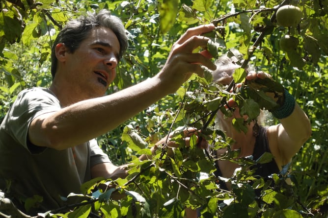 Reto travaille dans son jardin