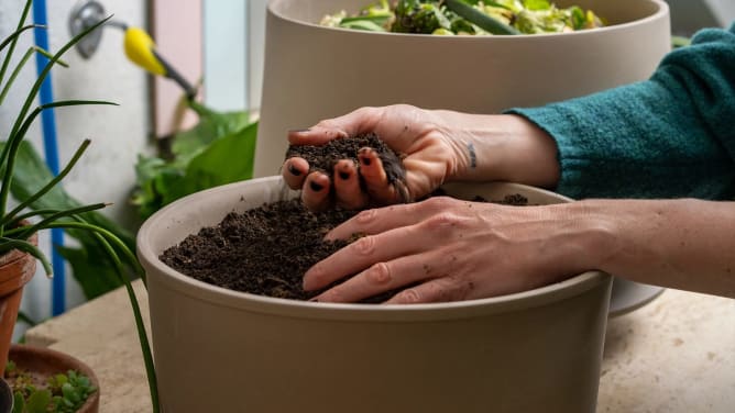 and last but not least: experience the joy of worm composting