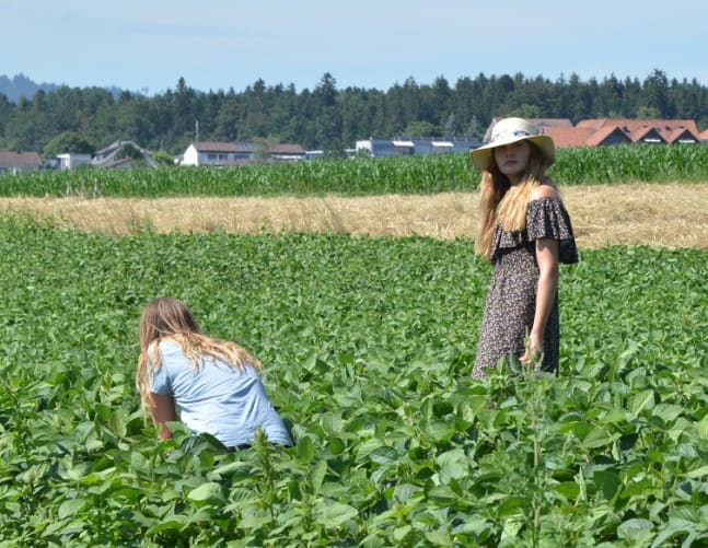 Die ganze Familie hilft jäten.