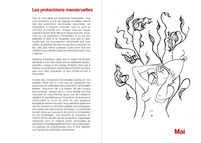 Mois de mai, thème Les protections menstruelles, illustrations par Sarah Zahran.