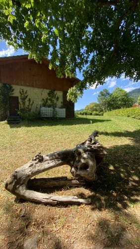 Garten mit Stall von Osten