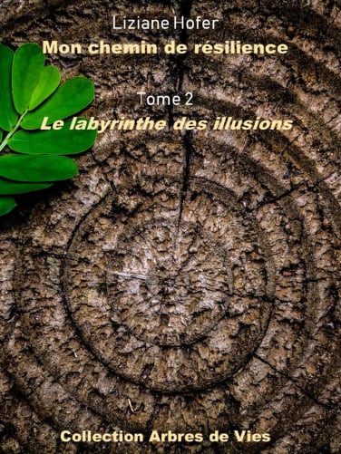 Tome 2 -> Le labyrinthe des illusions