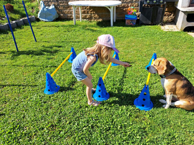 Mise en pratique. L'enfant se rend compte que le chien ne passe pas. Il comprend que les obstacles sont trop rapprocher, il doit modifier son parcours