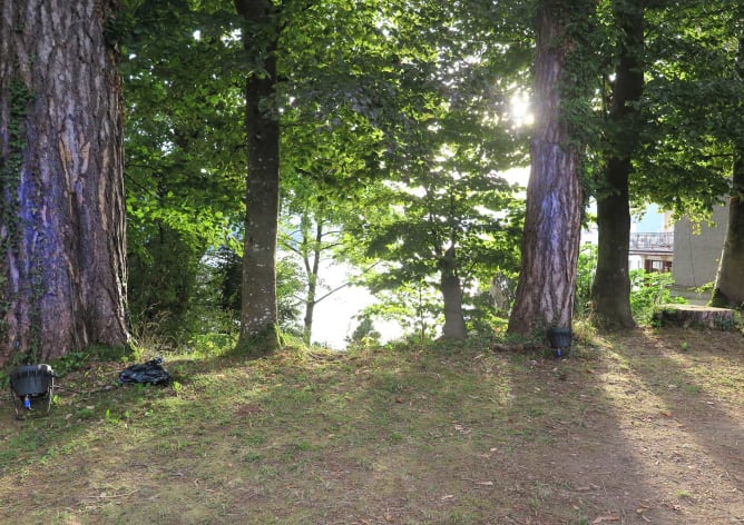 Lichtstimmung im Garten Villa Schoeck