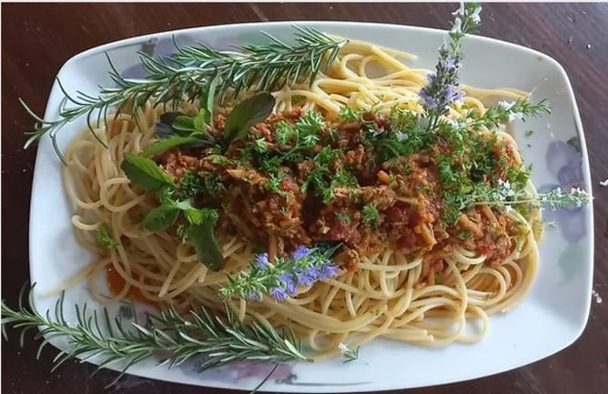 Fertig Menü Hanftofu Bolognese