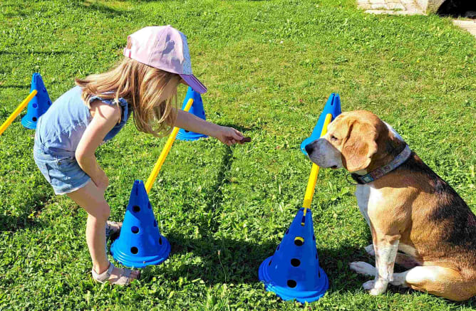 Sitzung mit dem Hund: Hindernisparcours, wir trainieren den mündlichen Ausdruck und die Fähigkeit, sich durchzusetzen