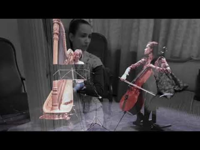 Heitor Villa-Lobos &laquo;O Canto do Cisne Negro&raquo;
