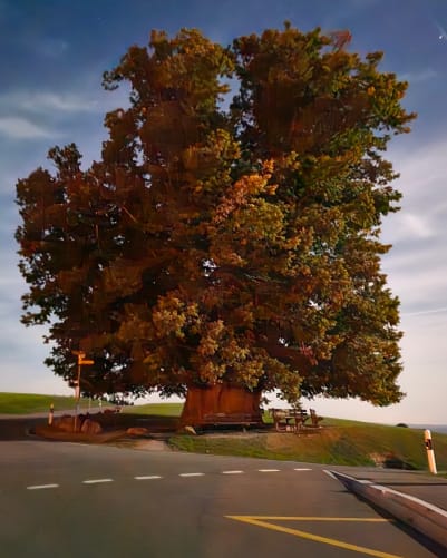 Baum des Lebens