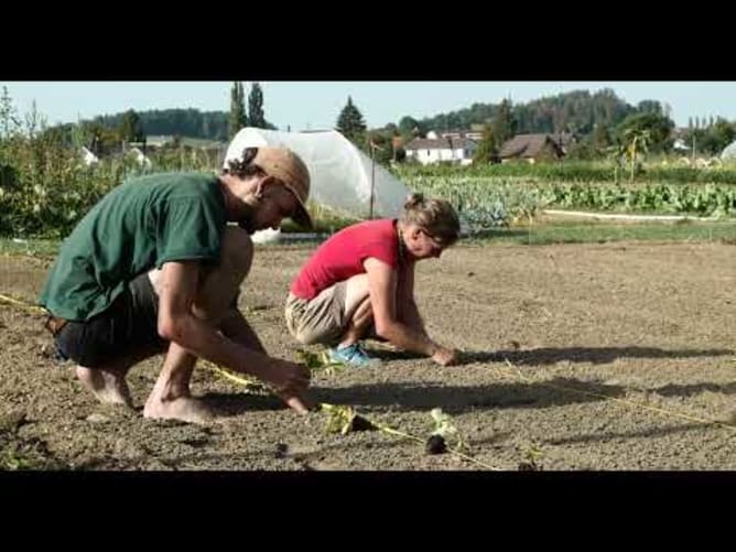 Genossenschaft auVert - für zukunftsfähige Lösungen in der Landwirtschaft