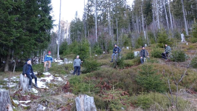 Forest Walking Tour