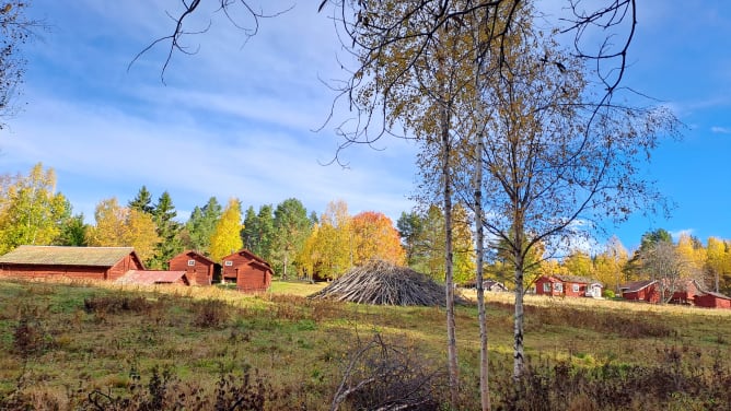 Historic buildings around the Timber Lodge