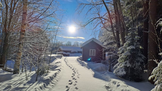 Magie de l'hiver au Timber Lodge