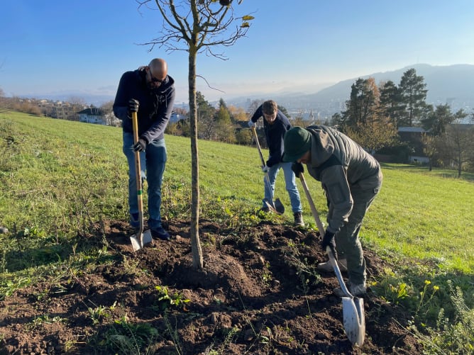 Die 60 Bäume, welche gepflanzt worden sind, liefern schon Bald Früchte für die Besucher und vernetzen den Lebensraum der Tiere.