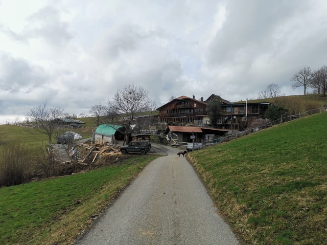 Meine Pferde leben auf dem wunderschön gelegenen Hof Lengisried im Senseoberland