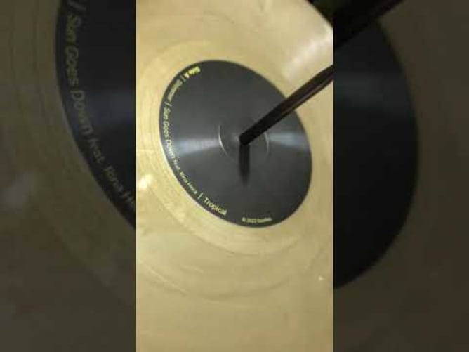 Goldfish - Dry-Fi - vinyl pressing
