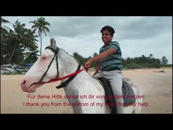 HUDI HORSE BRAND