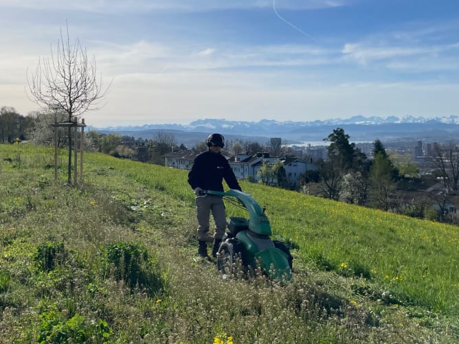 Der erste Wiesenschnitt von Spross Garten ist gemacht