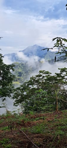 La réserve se trouvera dans une forêt tropicale humide située à 1000m d'altitude dans les Andes