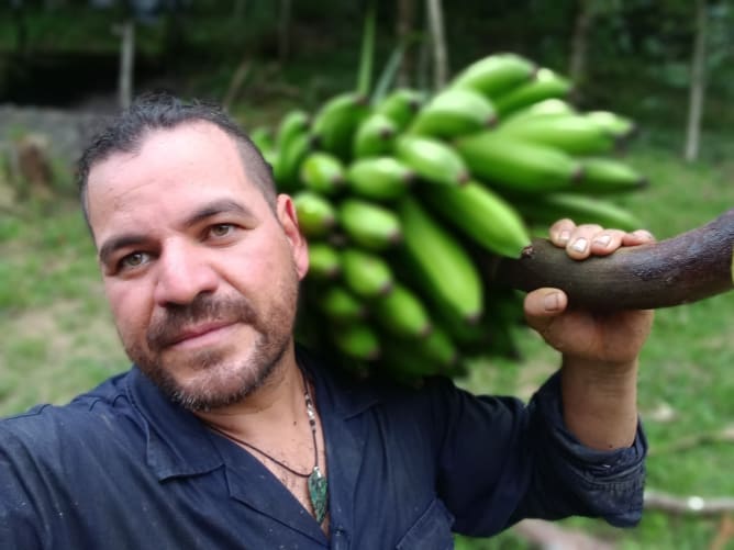 Andres harvesting some organic bananas from the land