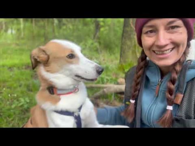 foundation for happy dogs and people - happy bus - thank you movie