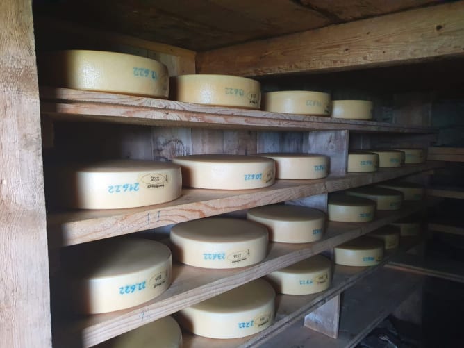 Käse Lagerraum auf der Alp