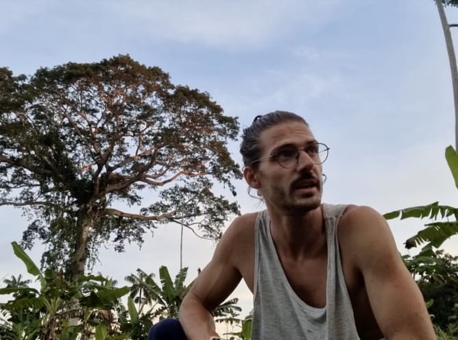 In the brazilian jungle