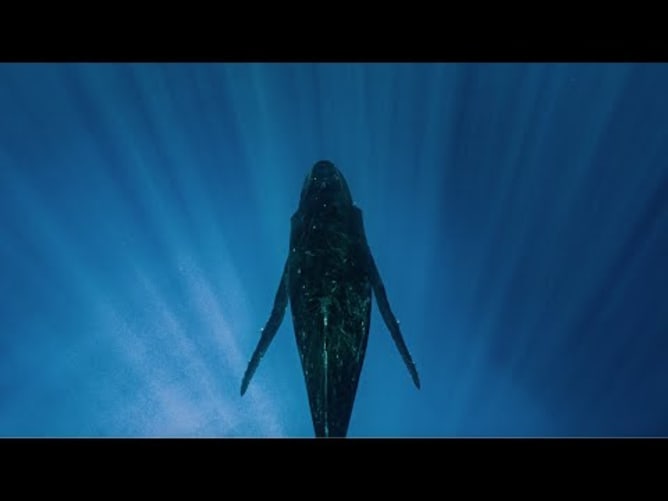 Blu profondo