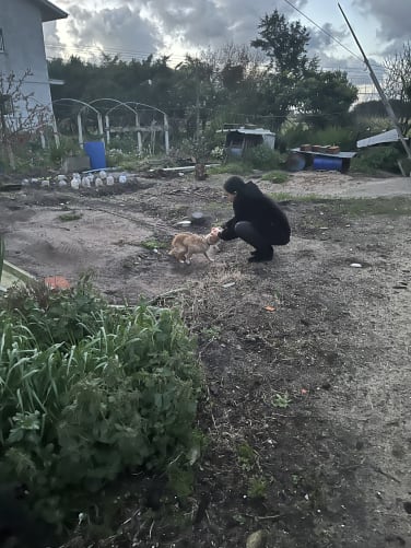 Je n’étais pas une bonne chasseuse selon mon propriétaire, alors…