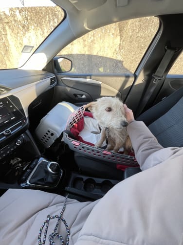 J’avais si peur dans la voiture avec Sara…