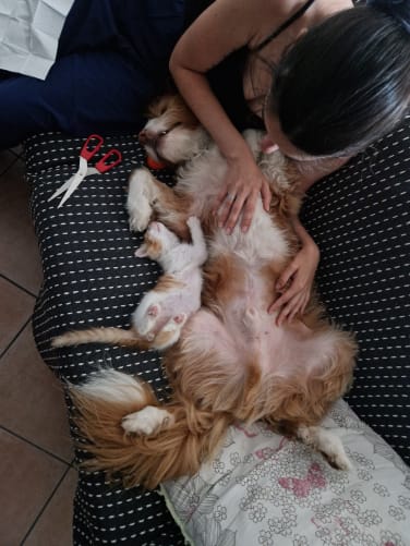 Il abuse pas un peu le p’tio ? Il me prend pour son père ou quoi ? 