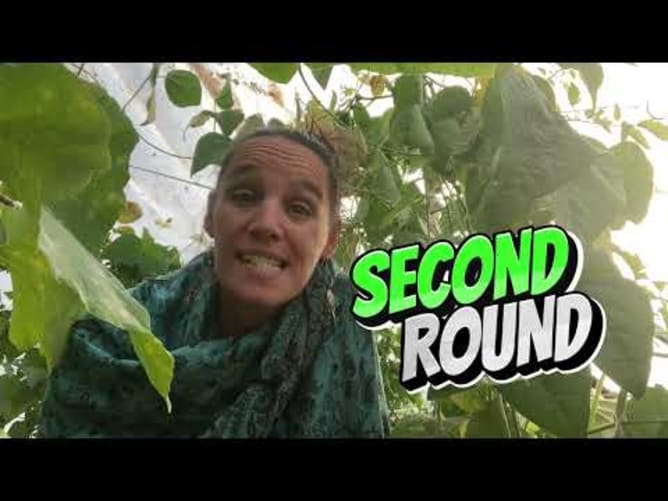 crowdfunding 2e round