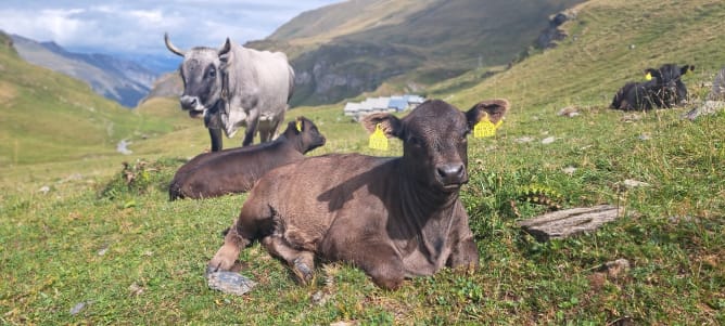 Flurina und Fabio von Fiona