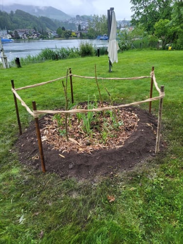 In der täglichen Arbeit als Baumpfleger wird das Konzept des Arten Gartens bereits gelebt. Möglichst diverse Anpflanzungen sorgen für einen sicheren Anwuchs junger Bäume.  