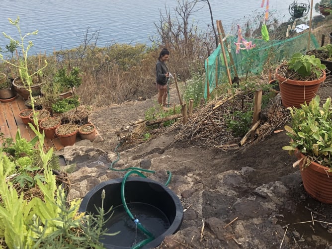The beginning of a permaculture garden I started at my friends' place in Guatemala