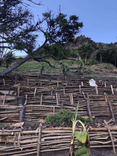 Terracing for a vegetable garden for friends in Guatemala.