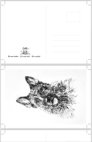«Thank You Postcard»