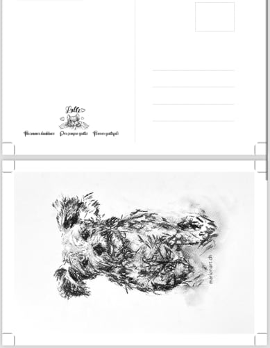 «Thank You Postcard»