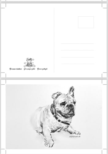 «Thank You Postcard»