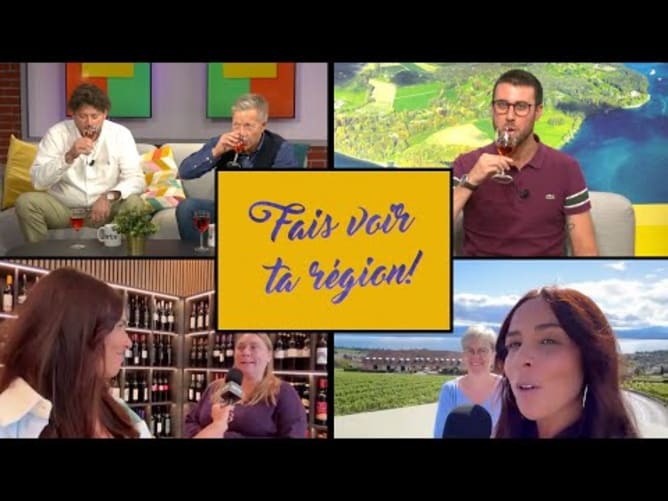 🍇🍷 Vendanges 2024 : une multitude d’actualités sur la Côte