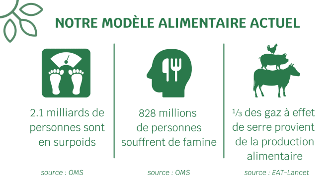 Les problèmes provoqués par notre modèle agroalimentaire